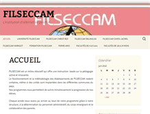 Tablet Screenshot of filseccam.com